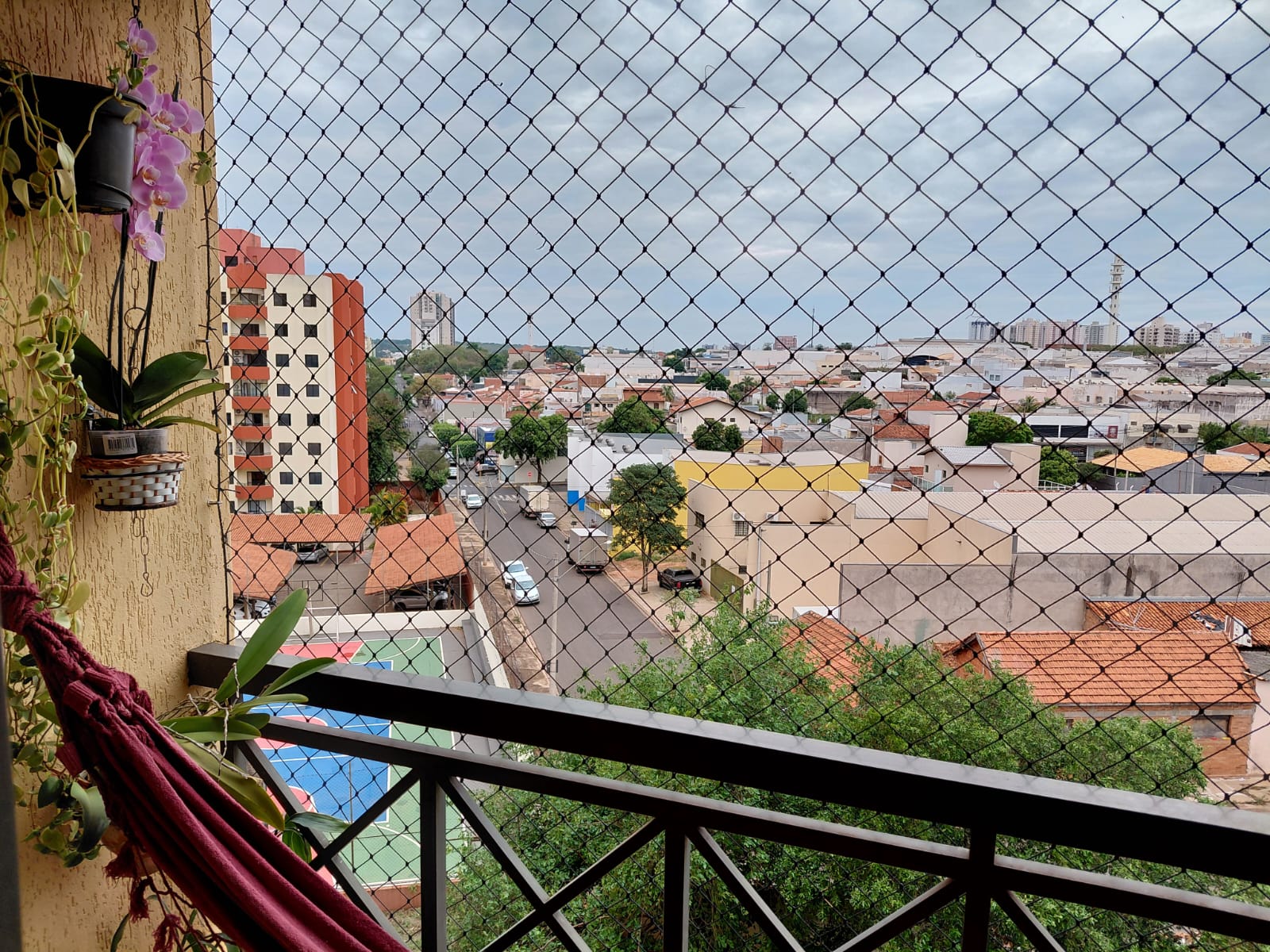 IMG-20260217-WA0053(1)